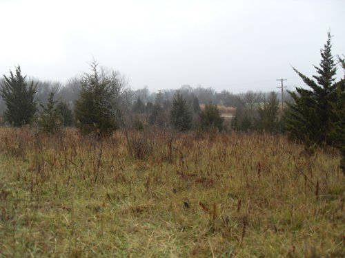 Property photo 4 - Land Auction - 113.11 Acres, Potential Building Site, Wildlife & Recreation, Development Potential